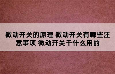 微动开关的原理 微动开关有哪些注意事项 微动开关干什么用的